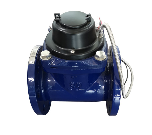 Remote direct reading water meter